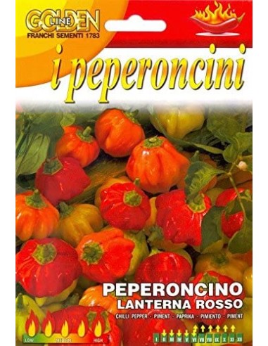 Semi di Peperoncino Lanterna Rossa