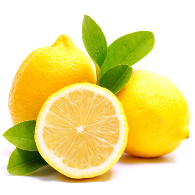 Pianta di Limone Zagara bianca in fitocella