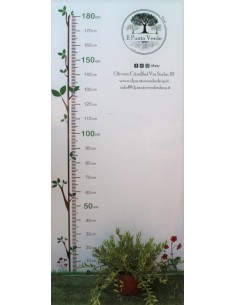 Pianta di Detuzia Ø19 2