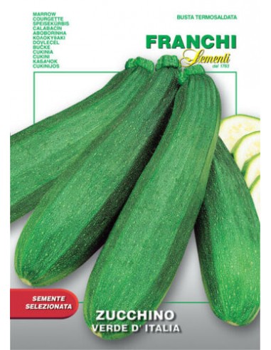 Zucchino verde d'Italia