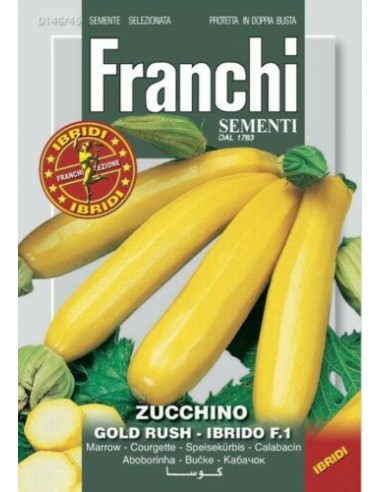 Zucchino gold rush ibrido f1