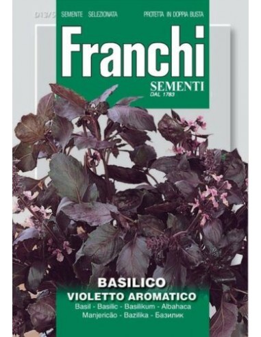 Basilico violetto aromatico