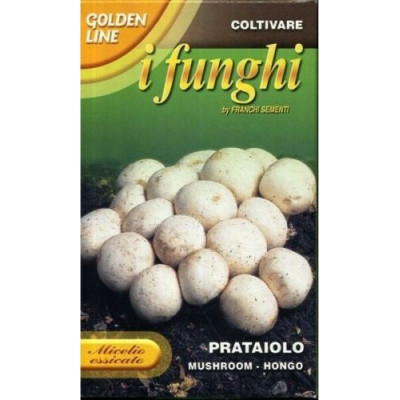 Fungo prataiolo