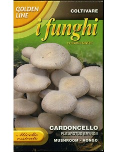 Fungo cardoncello