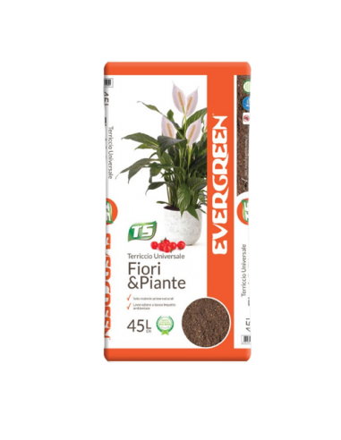 Evergreen Fiori & Piante 45L