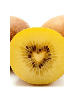 Pianta di Kiwi Giallo Jinfeng (femmina) in Vaso da 20 cm 2