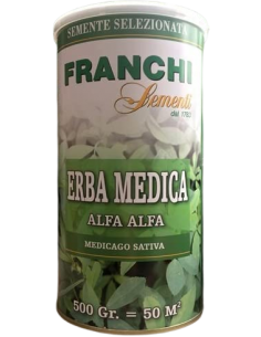 Semi di Erba Medica (Alfa Alfa)
