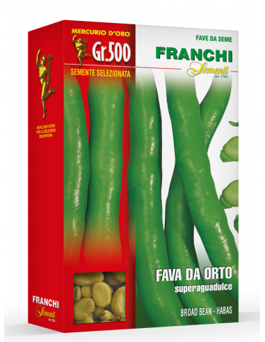 Semi di Fava da Orto Superaguadulce 500 gr