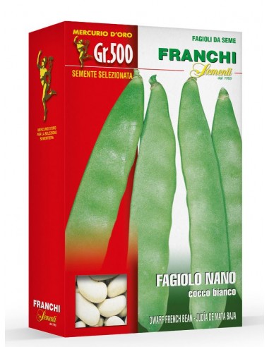 Semi di Fagiolo Nano Coco Bianco Precoce 500 gr