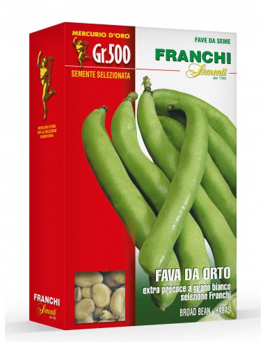 Semi di Fava da Orto Extra Precoce a Grano Bianco Sel. Franchi 500 gr