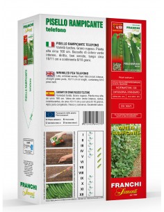 Semi di Pisello a Grano Rugoso Rampicante Telefono 500 gr 2