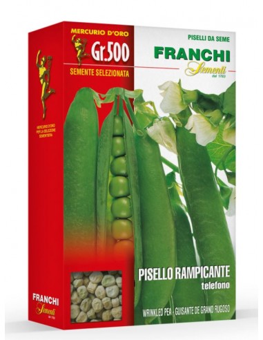 Semi di Pisello Rampicante Telefono 500 gr