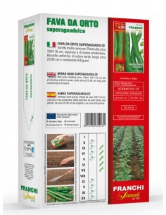 Semi di Fava da Orto Superaguadulce 500 gr 2