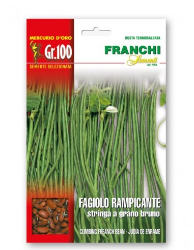 Semi di Fagiolo Rampicante Asparagio Stringa a Grano Bruno 100 gr