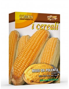 Semi di mais da polenta 100g