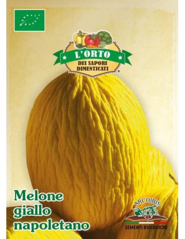 Semi di Melone Giallo Napoletano BIO