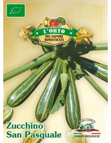 Semi di zucchino San Pasquale BIO 3g