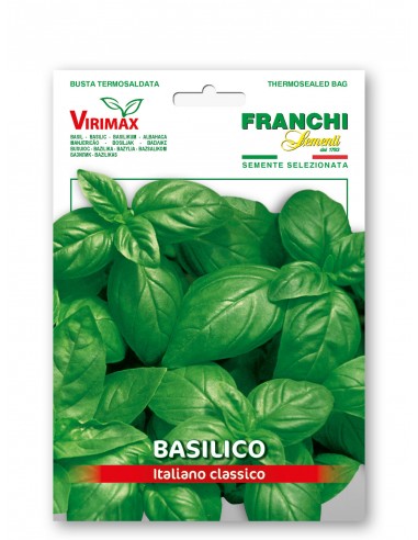 Semi di Basilico Italiano Classico