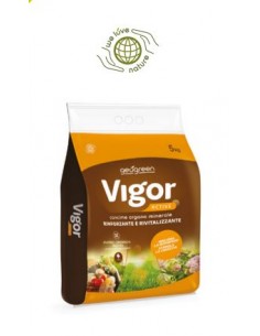 Concime granulare vigor active 5kg