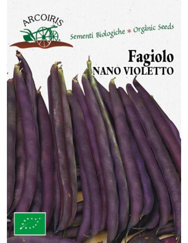 Semi di Fagiolo Nano Violetto BIO 15 gr