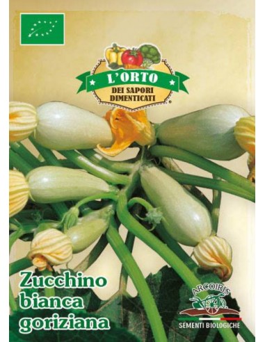 Semi di zucchino bianca goriziana BIO 3g