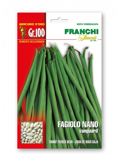 Semi di Fagiolo Nano Vanguard 100 gr