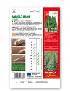 Semi di Fagiolo Nano Vanguard 100 gr 2