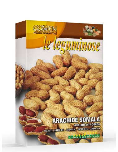 Semi di Arachide Somala 50 gr