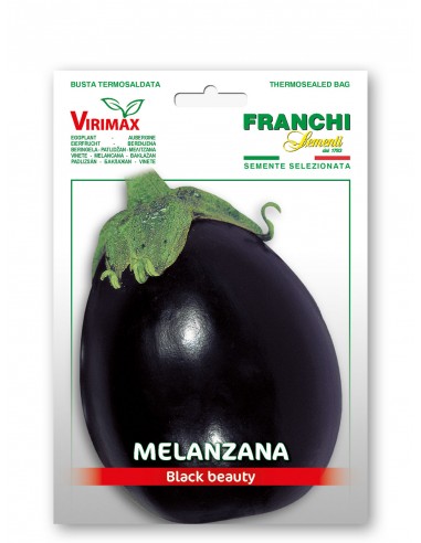 Semi di Melanzana Black Beauty