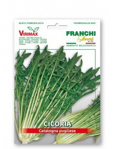 Semi di Cicoria Catalogna Pugliese