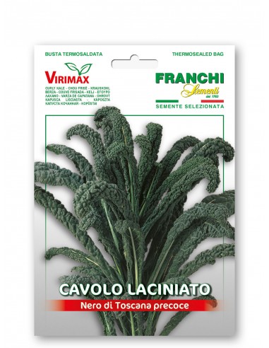 Semi di Cavolo Laciniato Nero di Toscana Precoce