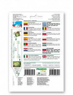 Semi di Cavolo Cappuccio Brunswick 2