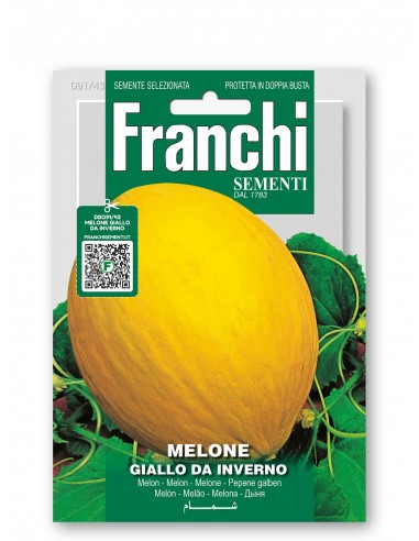 Semi di Melone Giallo da Inverno