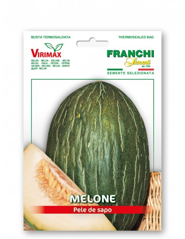 Semi di Melone Pele de Sapo