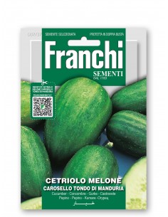 Semi di Cetriolo Melone Carosello Tondo di Manduria