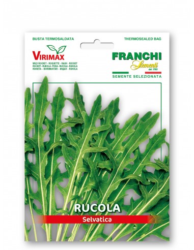 Semi di Rucola Selvatica