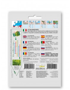 Semi di Lattuga Gentilina (Grand Rapis) 2