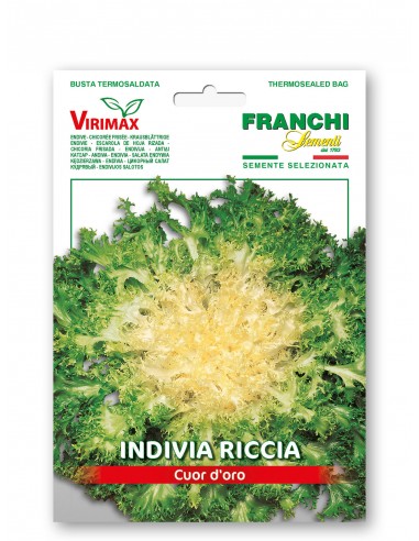 Semi di Indivia Scarola Riccia Cuor d'Oro