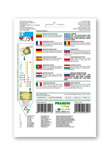 Semi di Indivia Scarola Riccia Cuor d'Oro