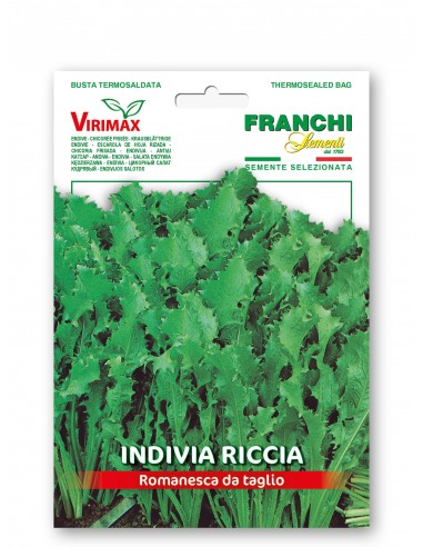 Semi di Indivia Riccia Romanesca da Taglio