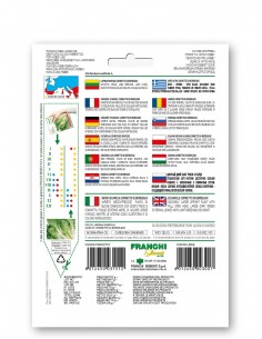 Semi di Indivia Scarola Cornetto di Bordeaux 2