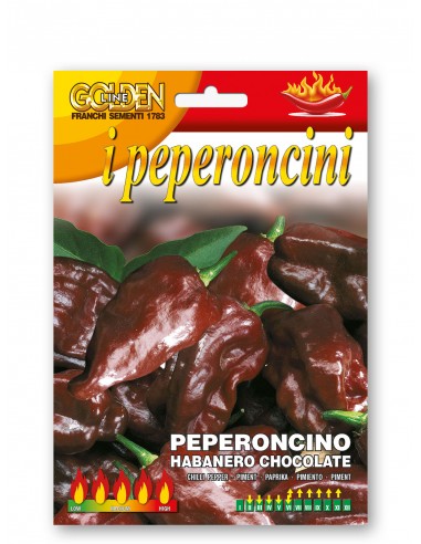 Semi di Peperoncino Habanero Chocolate