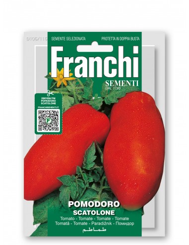 Semi di Pomodoro Scatolone