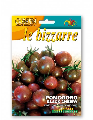 Semi di Pomodoro Black Cherry