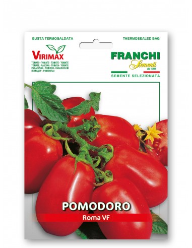 Semi di Pomodoro Roma VF