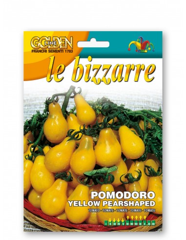 Semi di Pomodoro Yellow Pearshaped