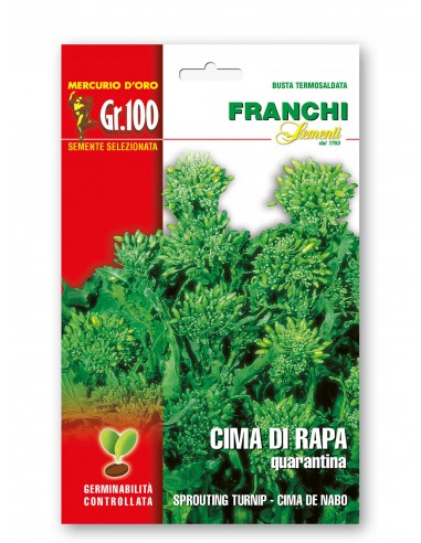 Semi di Cima di Rapa Quarantina