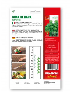 Semi di Cima di Rapa Quarantina 2