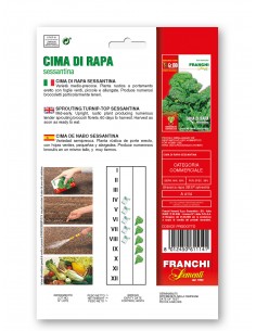 Semi di Cima Di Rapa Sessantina 2