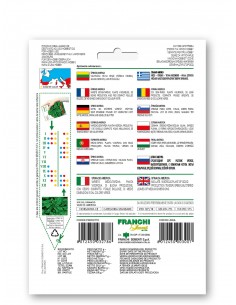 Semi di Spinacio America 2